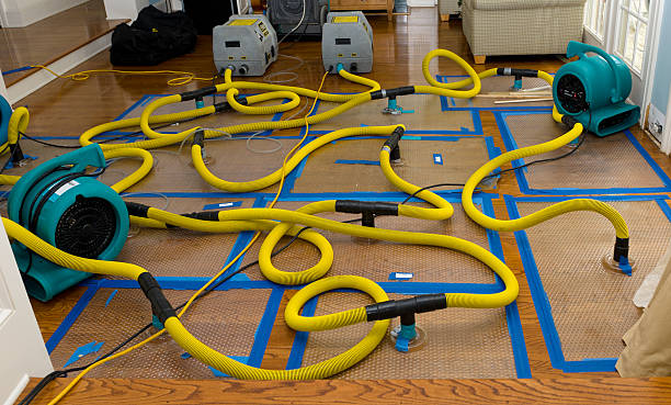 Professional Crawl Space Water Removal technician working in Hopewell, VA
